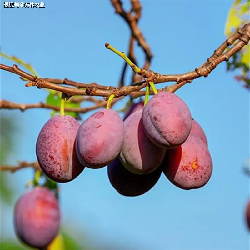 考勤管理系统标准版导出考勤_导出考勤管理数据系统错误_考勤管理系统导出数据