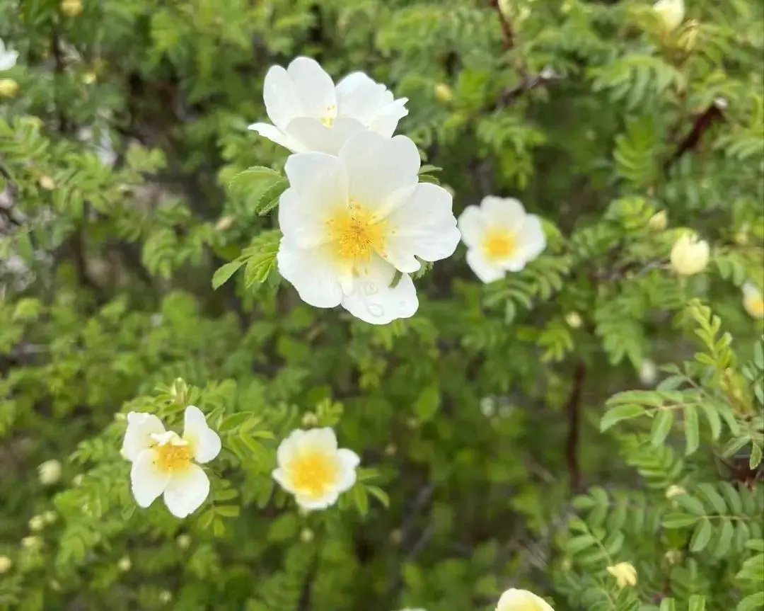 文件扩展名怎么显示-如何显示文件扩展名？教你轻松找回文件的身份证