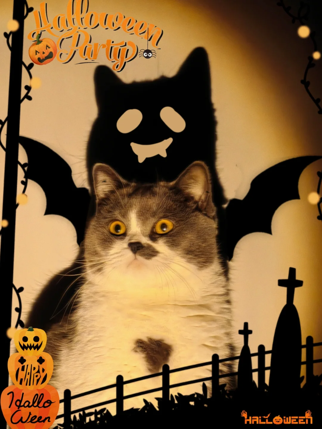 多媒体讲台hailz-多媒体讲台 Hailz 的心路历程：承载知识与思想的火花