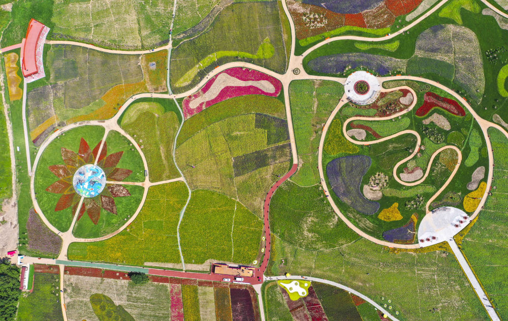 激活社保卡_激活社保卡可以在手机上操作吗_superrecovery激活