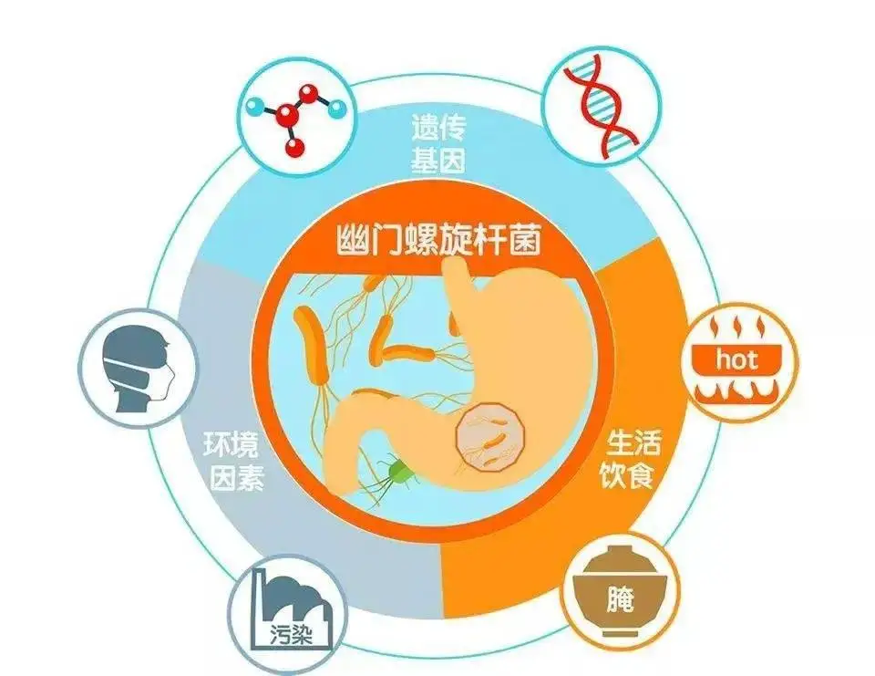 关于胃病的讲座_讲座胃病知识健康宣教_胃病健康知识讲座