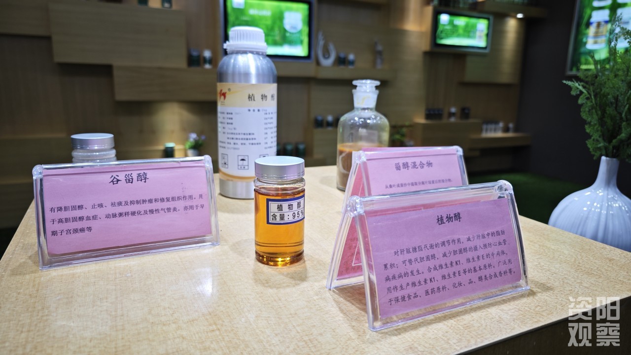 四川资阳市乐至县_四川资阳乐至县怎么样_四川资阳市乐至县最新疫情