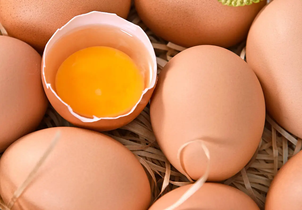 北京顺义医院预约挂号电话_中国医科大学北京顺义医院挂号_北京顺义到通州胸科医院怎么走