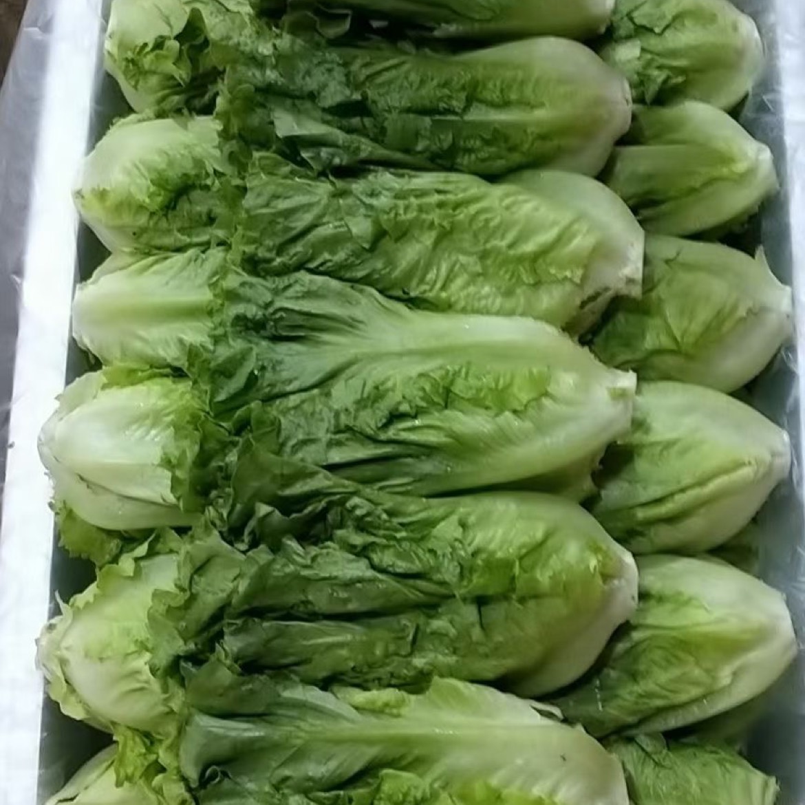 10元起批发服装批发电子商城_一元起批发服装_2元服装批发货源