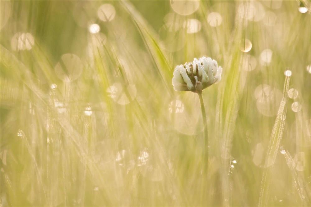 openoffice linux 安装_安装空调_安装openmp