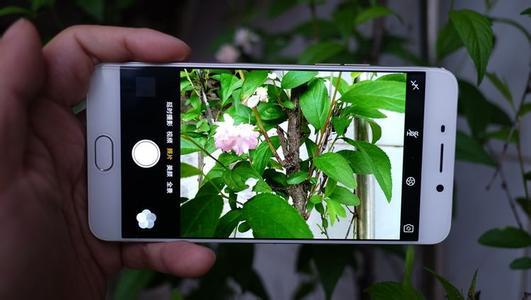 ai文件没保存怎么恢复_恢复的文件不完整_恢复未保存文件