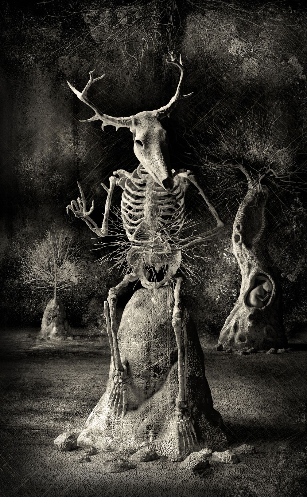 罗克恩病严重吗_课罗恩病_克罗恩病的图片