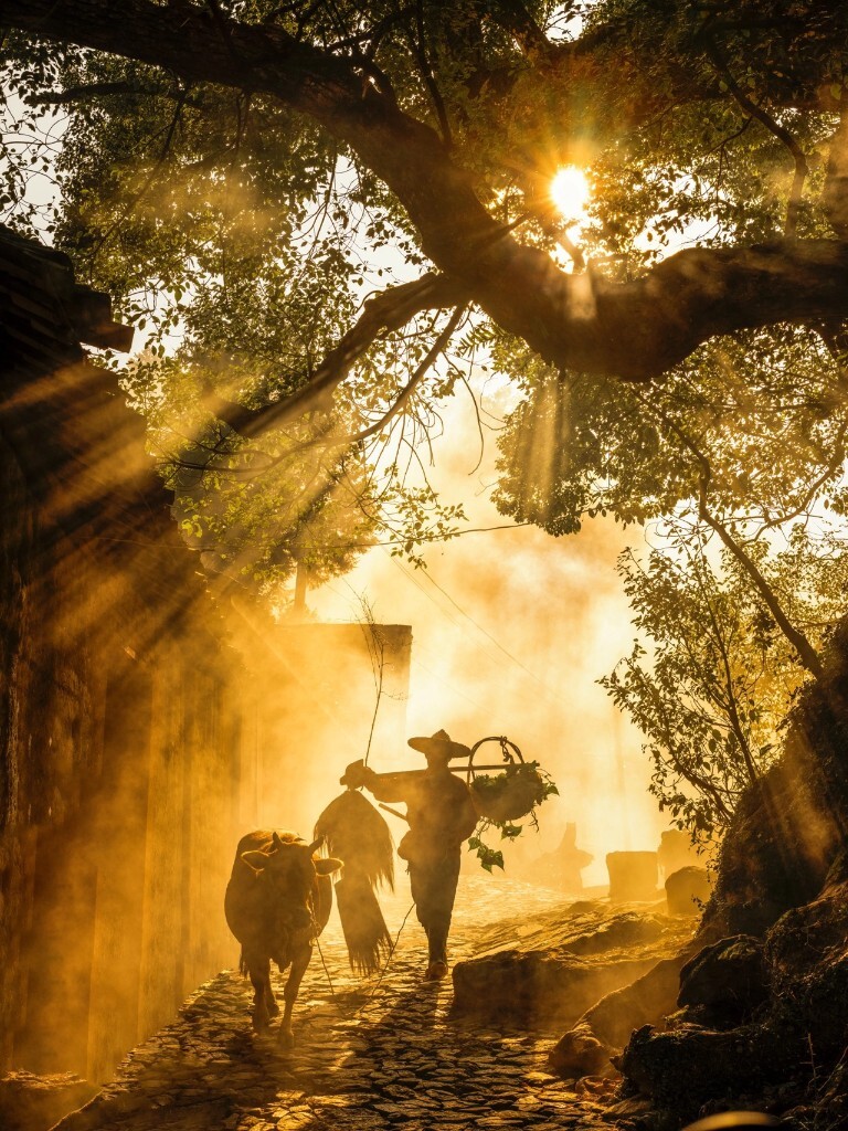 3s技术在农业的应用_应用农业技术_农业应用工程