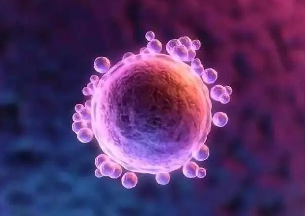 人工授精成功率和什么有关_春季做人工授精成功率_人功授精好吗