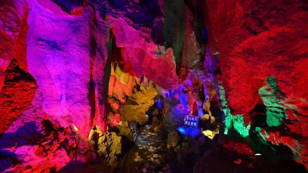 世界各国的身份证_世界各国身份证制度_世界各国身份证号码