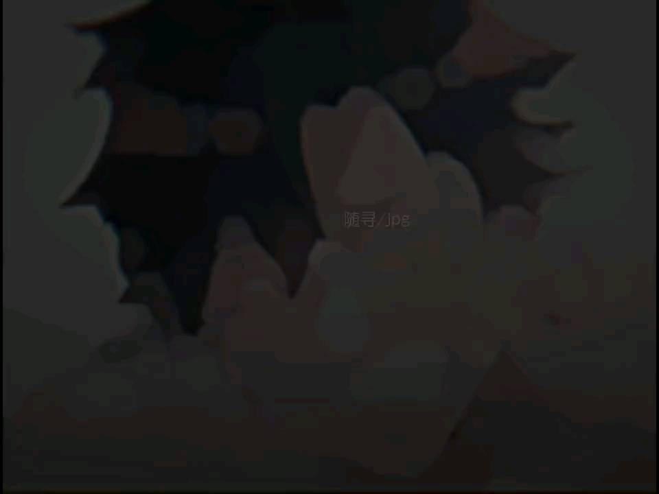 七喜视频社区2024版-七喜视频社区 2024 版：界面友好，功能强大，新增活动和板块等你来体验