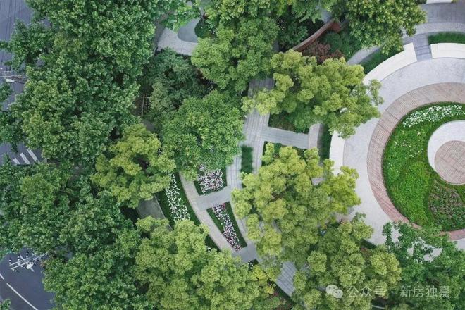 ecshop模板二次开发-ECShop 模板二次开发：创意与热情的大爆炸，如艺术家般挥洒颜料