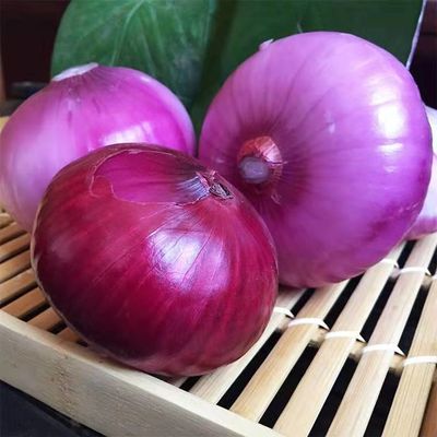 xyplorer17.90设置中文_中文设置Telegraph_xyplorer设置中文