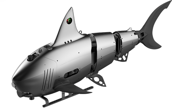 2000系统-2000 系统：藏着无数小秘密，让人又爱又恨的神秘机器