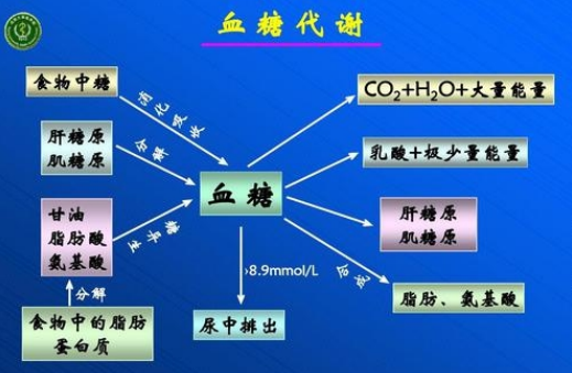 中医治疗糖尿病的原理_中医治疗糖尿病的理论_中医讲糖尿病治疗