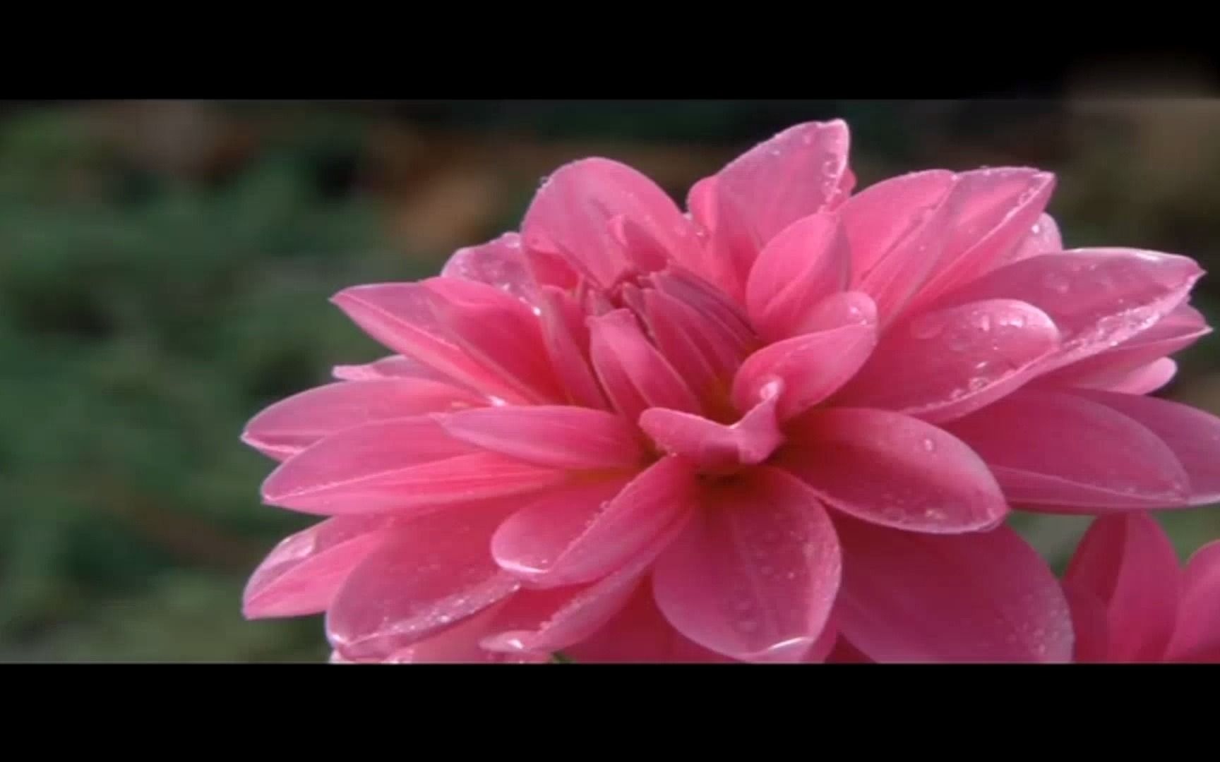 vcomp100.dll x86下载_下载快手_下载mt4交易平台下载