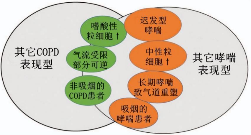 哮喘的严重性-哮喘：隐藏在暗处的呼吸杀手，随时可能发作令人恐惧