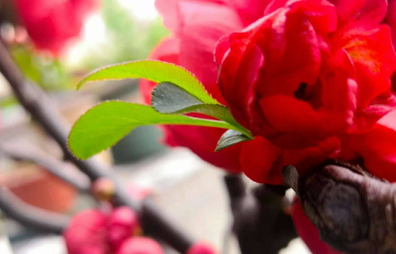 朝阳医院住院部电话：生命纽带，五味杂陈的存在