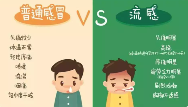 急性心肌炎的观察护理要点_急性心肌炎患者的护理_急性心肌炎的护理措施