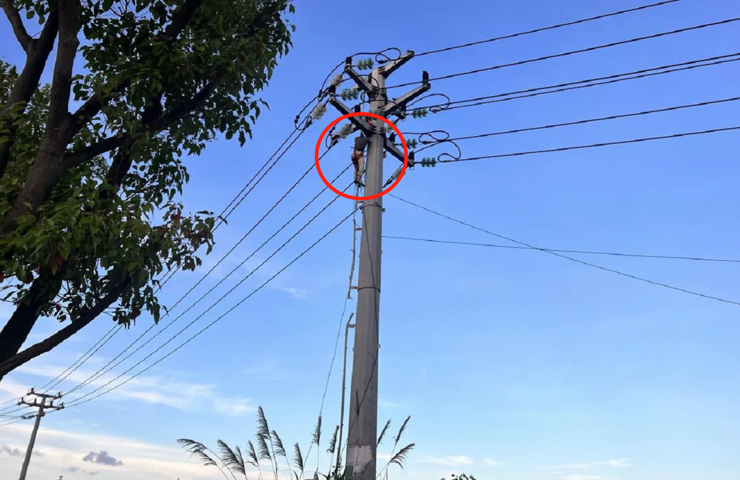 最好的偷电方法图片_偷电电路图讲解和实物图_偷电器图片