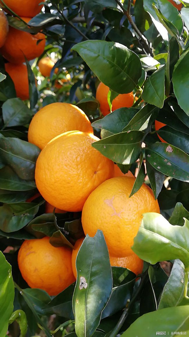 d盘中的文件_d盘里文件不见了怎么办_d盘 文件不见了