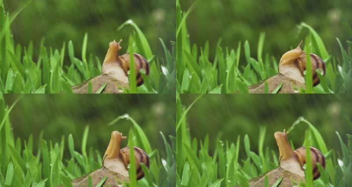 电脑运行进程太多怎么办_进程运行电脑大小调整_电脑进程运行太大