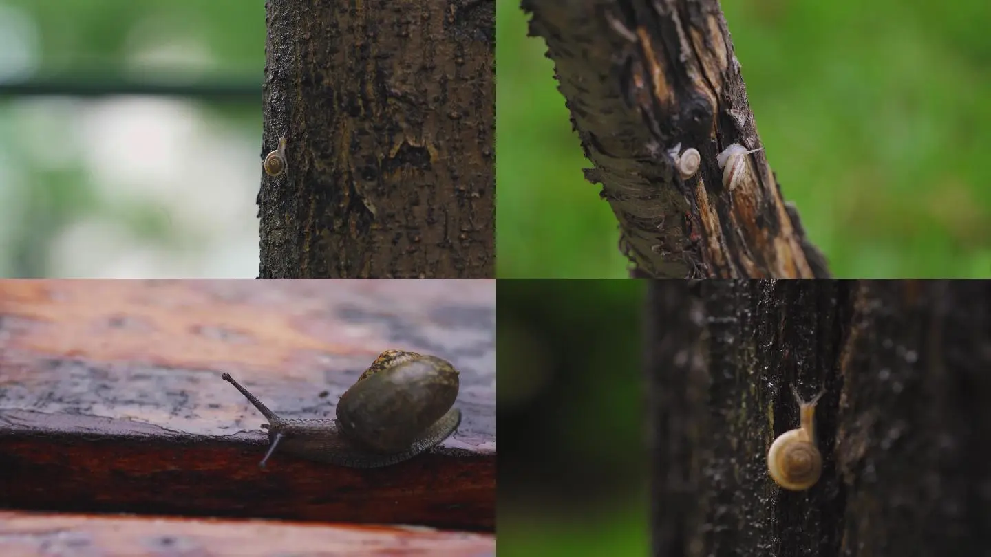 电脑进程运行太大_电脑运行进程太多怎么办_进程运行电脑大小调整