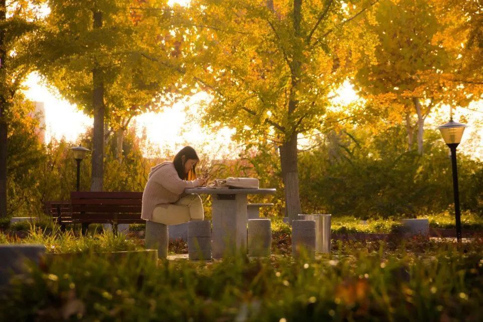 华天动力股票_oa华天动力_华天动力工业创业园