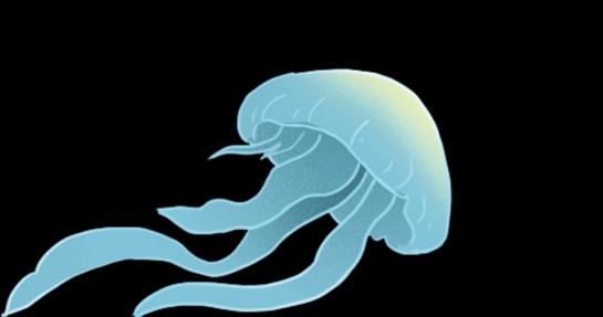 thunderservice.exe_thunderservice.exe_thunderservice.exe