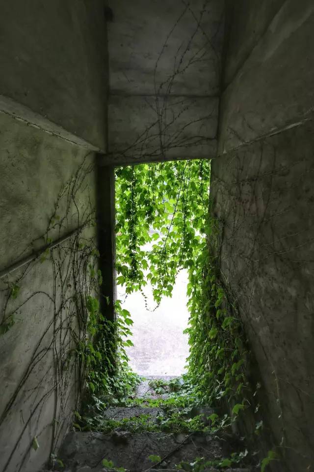 监控布线的方法与技术_监控线布线图_监控布线图解