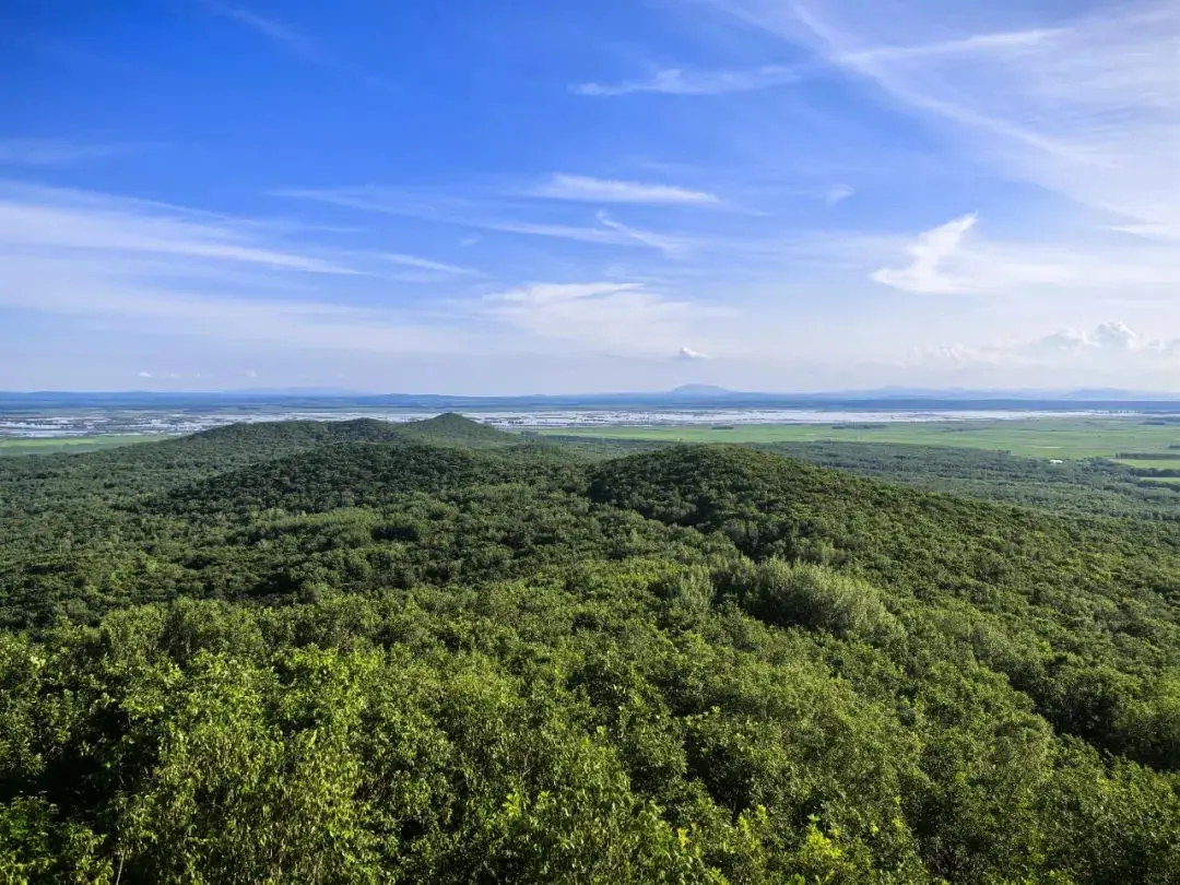 通达下载的文件在哪_通达软件下载官网_通达oa2024 下载
