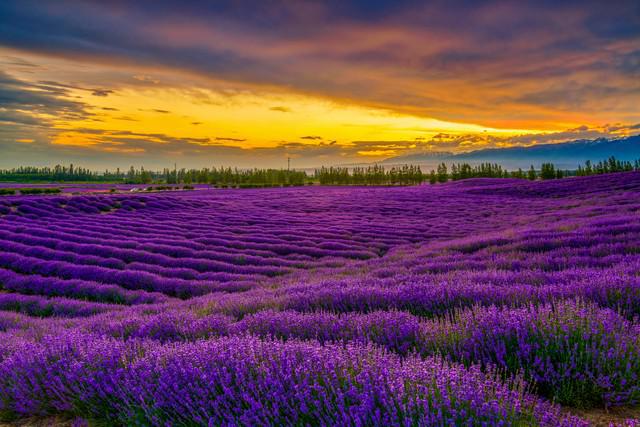 mapinfo免费下载-MapInfo 免费下载指南：不花一分钱，尽享专业地图软件