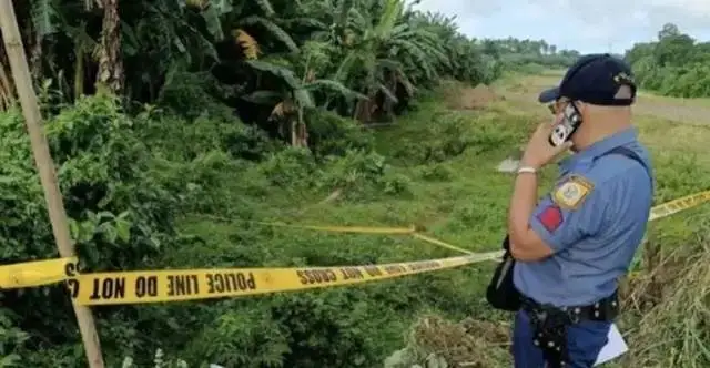 辉南县朝阳镇凯瘸子_朝阳镇凯瘸子和李宝民_吉林省辉南县朝阳镇凯瘸子