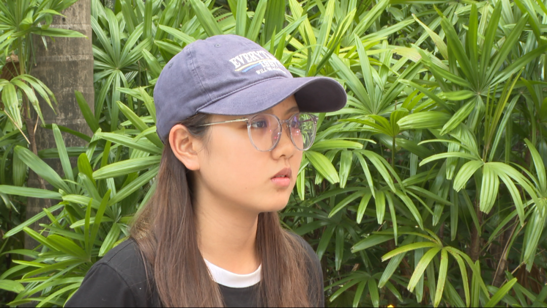 身份证号码真假查询_身份证号真假查询官网_身份证号真伪