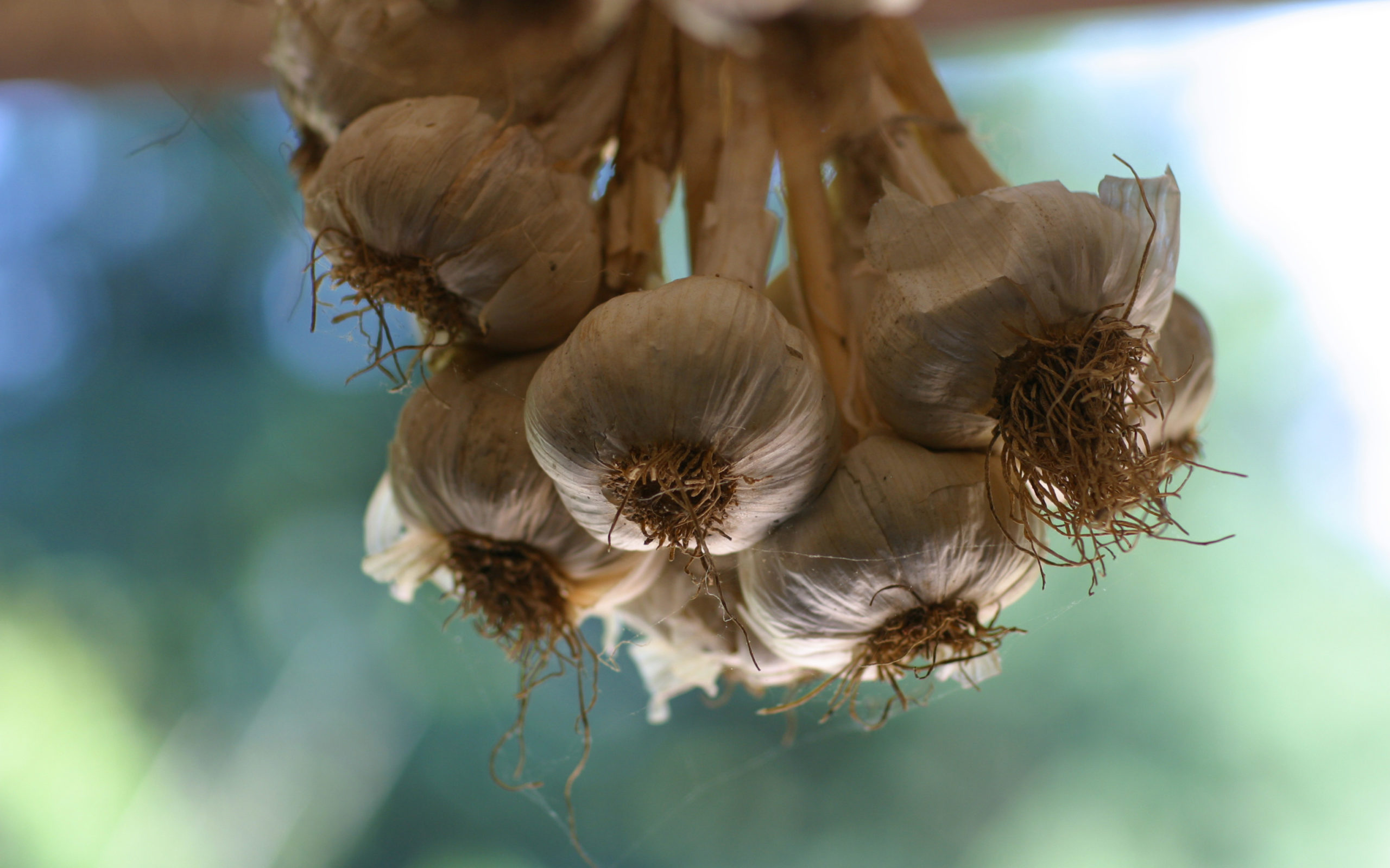 parallels怎么安装_parallels怎么安装_parallels怎么安装