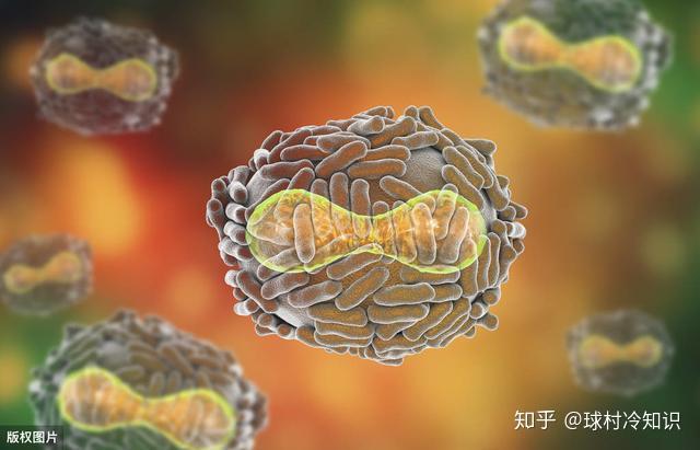 病毒文件类型_文件型病毒往往附在_病毒文件格式有哪些