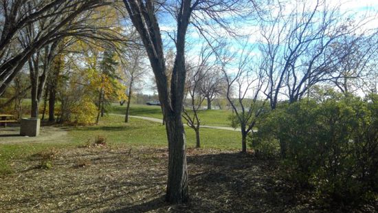 surfacego贴膜_surfacepro贴膜_surfacepro4贴膜教程