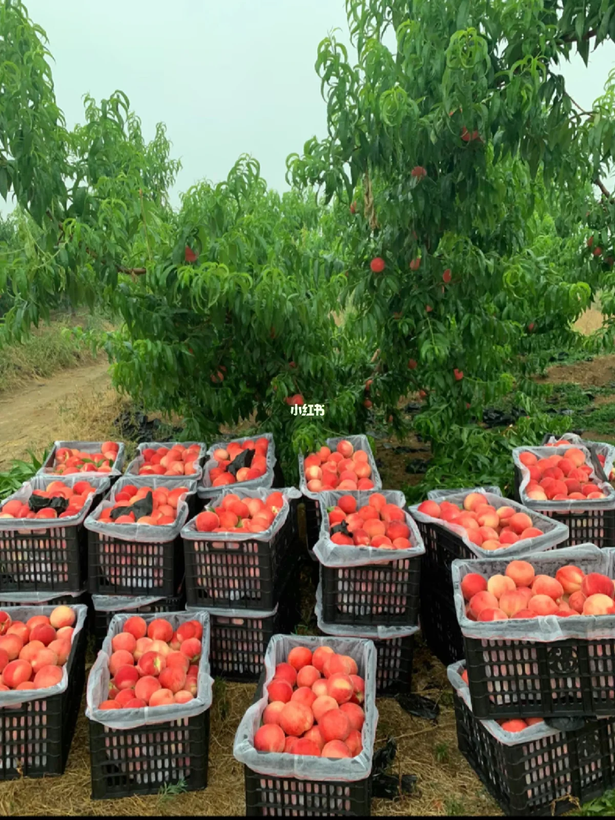 surface触屏失灵_触屏失灵是什么原因_触屏失灵修复方法