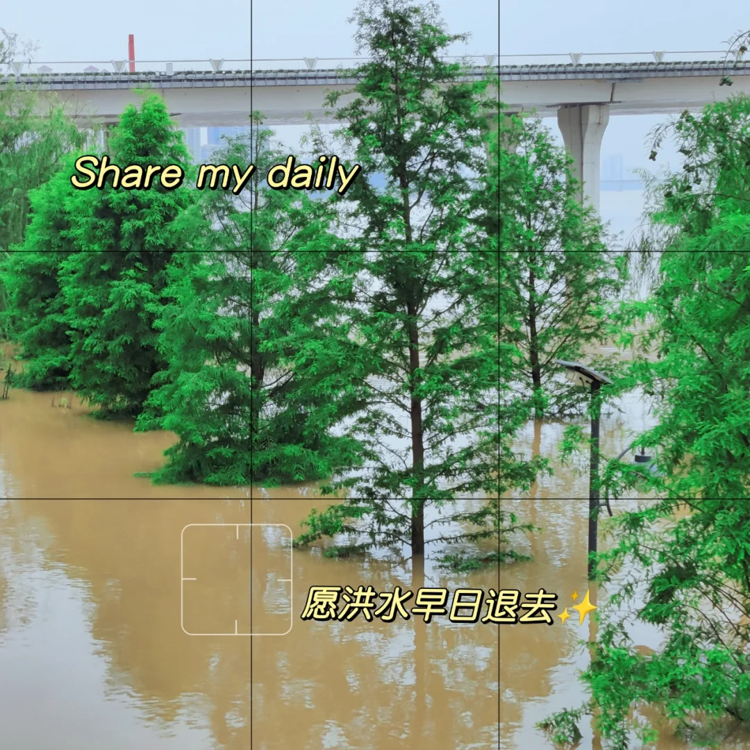 surface触屏失灵_触屏失灵修复方法_触屏失灵是什么原因