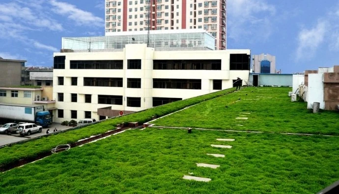 北京市朝阳医院特需门诊电话_北京朝阳医院特需电话_北京朝阳医院特需电话号码