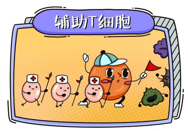 村卫生室信息管理系统_村卫生室的管理_村卫生室基本信息