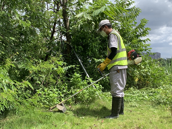 河南洛阳身份证号大全_河南省洛阳市身份证前六位查询_河南省洛阳市身份证号码查询