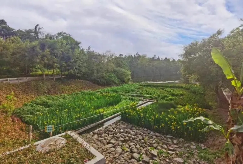 foobar2000 wasapi_foobar2000 wasapi_foobar2000 wasapi