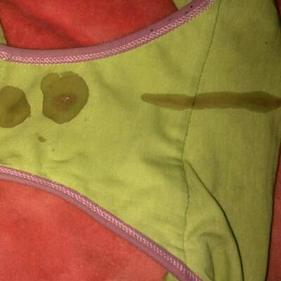 风机DWFS_风机DWT_dwt风机