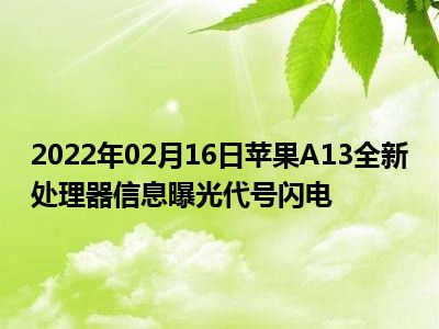 allwinnera13处理器_处理器的做法_collocation处理器