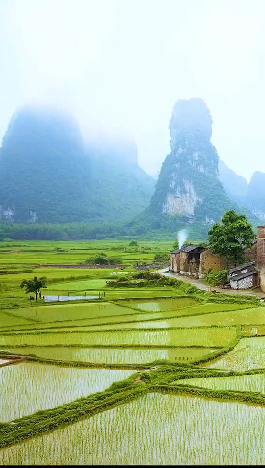 永兴前进农庄_前进农场场长_永兴前进山庄
