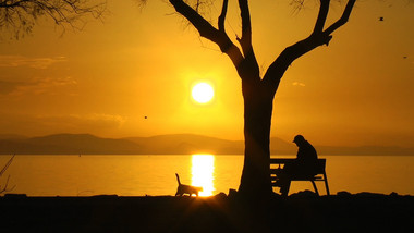 edius6此版本已过期-Edius6 悄然过期，项目停滞，用户心急如焚