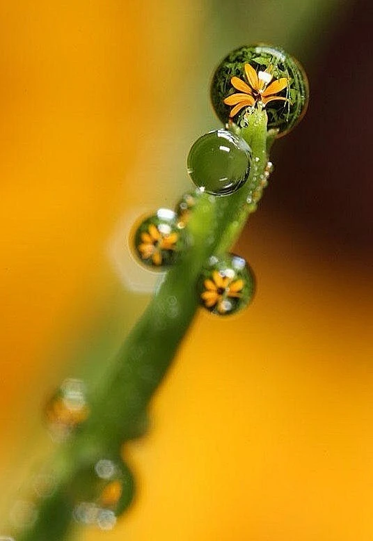 fast initialization_fast initialization_fast initialization