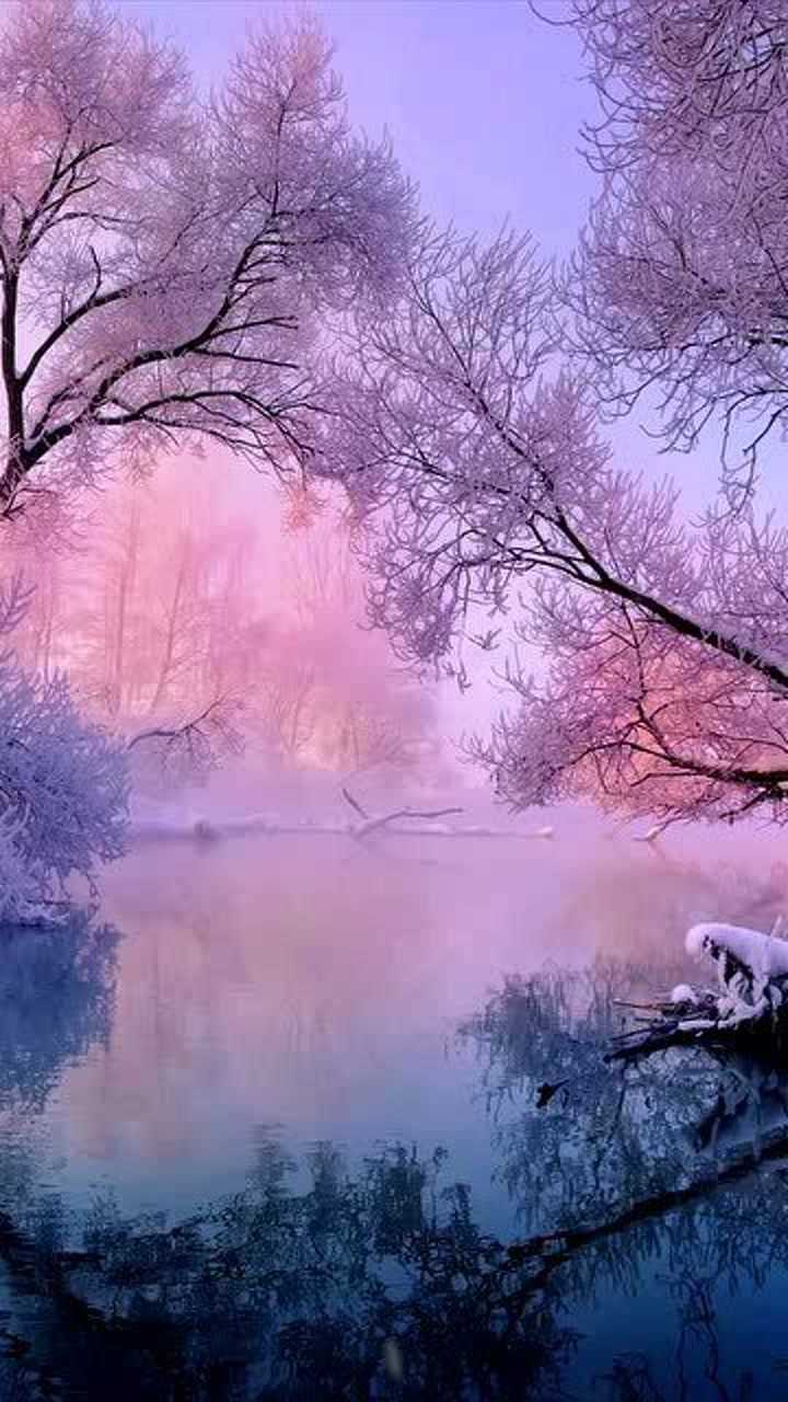 例子用英语怎么说_例子的缩写为什么是eg_haiku例子