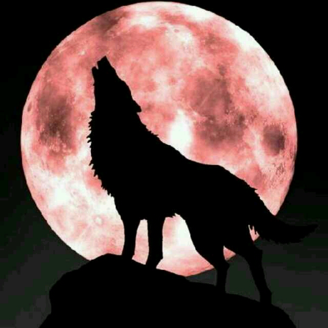 朝阳妇幼保健医院保健科电话_朝阳区妇幼保健院挂号_朝阳保健院妇幼挂号区电话号码